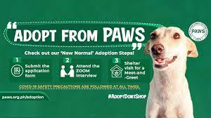 Mobile app for pet adoption. Philippine Animal Welfare Society Paws Home Facebook