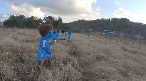 Do not request a wallpaper (eg: Fondazione Prada Gets A Participatory Movie Experience By Lizzie Fitch Ryan Trecartin