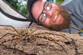 BugShot in the Belizean Jungles of Central America