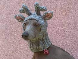 Reindeer Dog Hat Reindeer Dog Snood Christmas Dog Hat Etsy Reindeer Dog Dog Hat Christmas Dog Hat