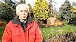 Maybe you would like to learn more about one of these? Bressingham Winter Garden Youtube