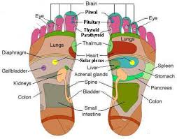 reflexology for blood pressure and its effects foot therapy