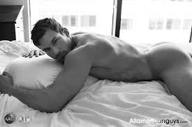 images?q=tbn:ANd9GcSrtpt7Tokxes63J6SsbOVB2vZxpIu_ZmXJw9EyFBTufSiMV2DH