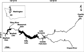 Map Of The Upper Cowlitz River Basin Showing The Location Of