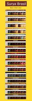 Chart In Surya Brasil Hair Color 2016