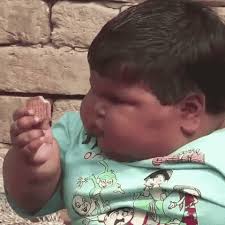 Sorry For What I Said When I Was Hungry Gif Https Encrypted Tbn0 Gstatic Com Images Q Tbn 3aand9gcrbsectk8mavzudfbopunnliimvzmwpakayea Usqp Cau
