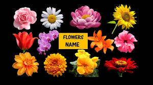 Looking for baby name inspiration? Learn Names Of Flowers Flower Names In Animation Video Learning For Kids Youtube