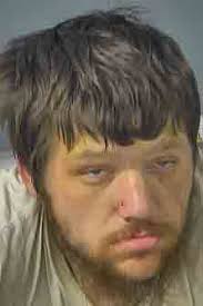 Nelson County Jail Logs — June 13-15, 2025