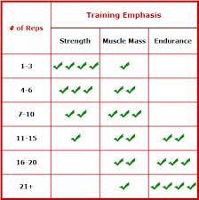 Faq On Strenght Training The Stephane Andre
