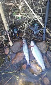 The idea is to keep the. Any Threadliners Another Spin On Glass Fiberglass Flyrodders