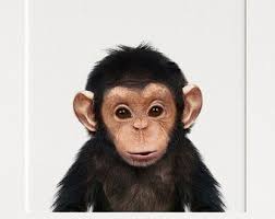 Nursery Prints, Chimpanzee PRINTABLE Art, Monkey, Safari Animals, Nursery  Decor, Baby Animals, the Crown Prints Shop, Jenny Kun Wall Art