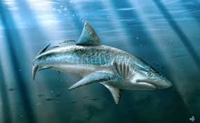 Stranded deep megalodon boss fight is not a easy mission to do, and is also difficult the find to location of this monster! Carcharodon Megalodon Shark Wallpapers Hd Megalodon 1600x979 Wallpaper Teahub Io