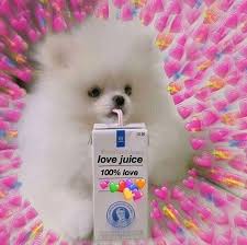 Twitter Cute Love Memes Cute Memes Wholesome Memes