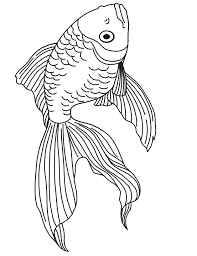 Kids fantastic collection of fish coloring pages has lots of coloring pages to print out or color online find your favorite fish!. Realistic Fish Coloring Pages Animal Coloring Pages Kids Fish Coloring Page Fish Drawings Beta Fish Drawing