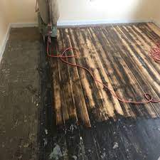 Cypress, also called bald cypress, is a kind of tree native to the united states. Floor Repairs Wollongong Floor Repairs Illawarra Superior Floor