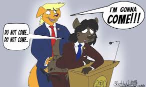 Rule34 - If it exists, there is porn of it  donald trump  8397767