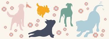 Petsmart offers quality products and accessories for a healthier, happier pet. Bangkok S Best Pet Friendly Cafes Bars And Restaurants Bk Magazine Online