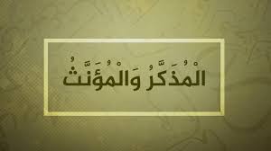 In arabic all اسم nouns are either male or female. Ù… Ø¨Ø§Ø¯ Ø¦ Ù† Ø­ Ùˆ ÙŠ Ø© Ø§Ù„Ù… Ø° Ùƒ Ø± ÙˆØ§Ù„Ù… Ø¤ Ù† Ø« ØªØ¹Ù„Ù… Ø§Ù„Ø¹Ø±Ø¨ÙŠØ©
