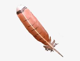 Check spelling or type a new query. Red Tailed Hawk Feather Invertebrate Transparent Png 600x600 Free Download On Nicepng