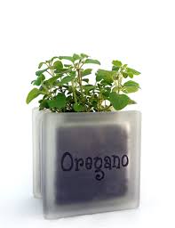 Cute Herb Pot Planter Glass Block Herb Pots Glass Blocks Lighted Glass Blocks Diy