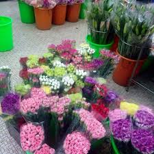 Ferns and other leaves available too for those who prefer to do their own flower arrangements. Photos At Weng Hoa Flower Boutique Chinatown 4 Tips From 210 Visitors