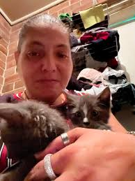 Lost Black Cat in Tullahoma near Brandywine Apartments