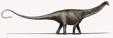 Brontosaurus is a genus of gigantic quadruped sauropod dinosaurs. Der Brontosaurus Kehrt Zuruck Der Spiegel