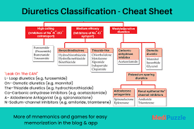 Image result for Loop Diuretic
