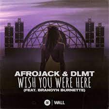 How i wish, how i wish you were here. Afrojack Dlmt Wish You Were Here Lyrics Genius Lyrics