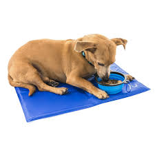 The bed's core is made of premium eco wool, which is humanely and sustainably harvested on local american farms. Unleashed Pets Self Cooling Pressure Activated Pet Cooling Gel Pad Mat Collapsible Food Bowl For Dogs Cats All Pets Nontoxic Cat Bed Pet Bed Cooling Gel Pad