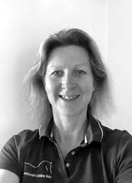 Lambourn Equine Vets Veterinary Surgeons