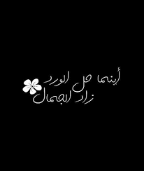 pin by seereen on هي in 2021 cute cartoon wallpapers book aesthetic cartoon wallpaper