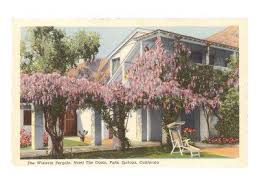 Don't miss out on great hotels and other accommodations near palm springs air museum, plaza theatre, and heusso gallery. Wisteria Pergola The Oasis Palm Springs California Art Print Art Com