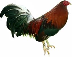nuestras lineas de sangre pagina web de dos fuentes farm