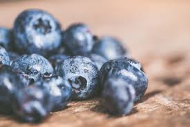 Freiheit für bewegung und wachstum. How To Grow Blueberries In Arkansas The Good Earth Garden Center