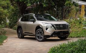 Image result for rogue