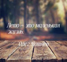 И к тебе я, точно, этим летом не вернусь. Leto Eto Malenkaya Zhizn Kto Skazal Kto Avtor Skachat Izobrazhenie