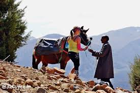 Et ça tombe bien on aime bien le coin ! Morocco Tizi N Trail Isabelle Fabre