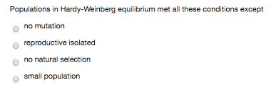 The hardy weinberg equation pogil answers. In The Hardy Weinberg Equation The P And Q Are The Chegg Com