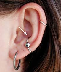 Human body parts differ in healing times following piercing. The Conch Piercing Everything You Need To Know Freshtrends