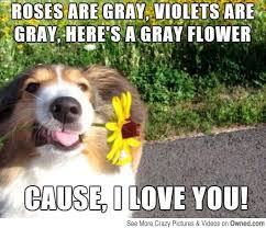 Dog Poem Pictures Owned Com Funny Dog Pictures Dog Poems Animals