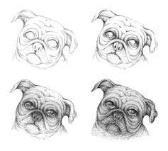 30 Ways To Draw Dogs Dog Drawing Dog Drawing Tutorial Puppy Sketch