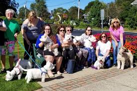 The community started by francis and his followers became the franciscan order of the. Congregations Pet Ministries Offer Support To Pet Owners And Their Four Legged Companions Episcopal News Service