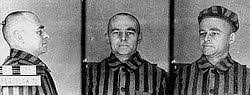 Witold pilecki was a polish spy & author. Witold Pilecki Wikipedia