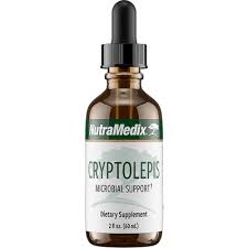 Image result for Cryptolepis