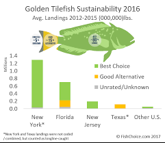 Golden Tilefish Fishchoice