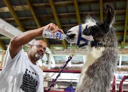 Opening Day at the 2024 State Fair of West Virginia