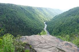 blackwater falls state park davis west virginia pendleton point view