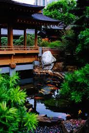 Using feng shui rules and principles to design a koi fish pond ensures your. Bog Filters And Your Koi Pond Next Day Koi
