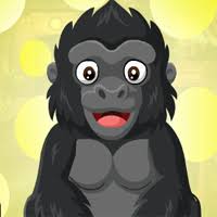 The main aim of our website is to provide best entertaining games based. Wowescape Only Our Top Played Games